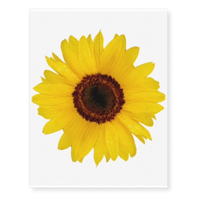 Sunflower Temporary Tattoos (Front)