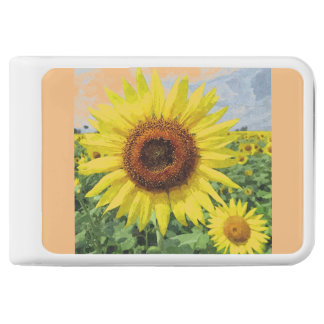Sunflower TenFour 10400mAh Power Bank