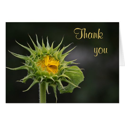 Sunflower Thank You Card (Front Horizontal)