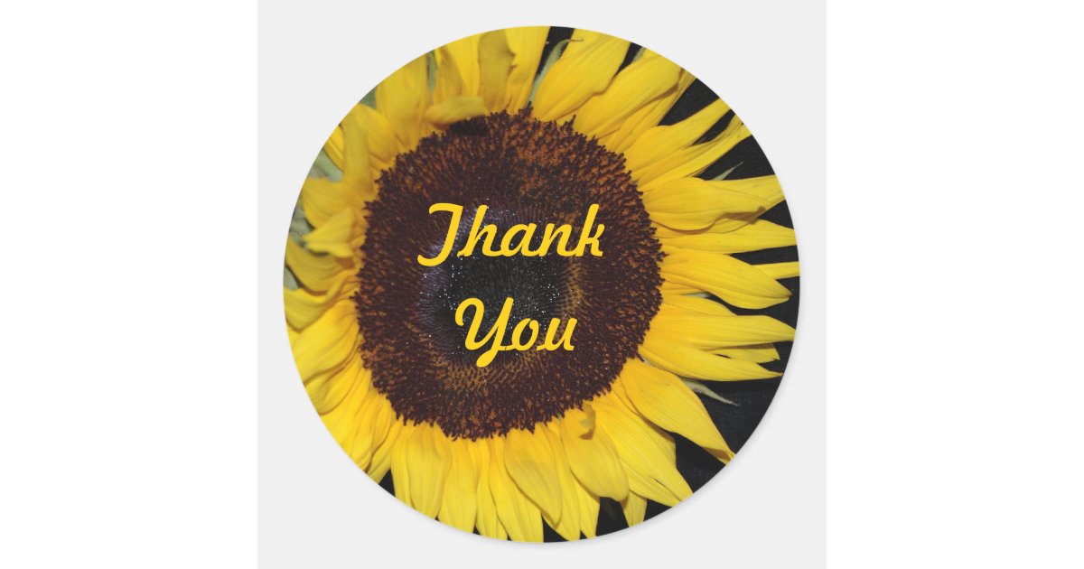 https://rlv.zcache.com/sunflower_thank_you_classic_round_sticker-r9f5d48da1ef04e968aa203e960f18272_0ugmp_8byvr_630.jpg?view_padding=%5B285%2C0%2C285%2C0%5D