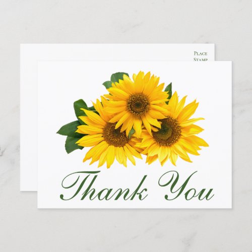Sunflower Thank You Elegant Yellow Floral Wedding  Postcard