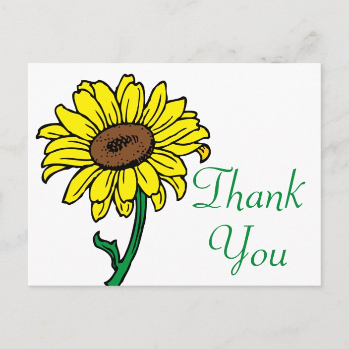 Sunflower Thank You Floral Yellow & Green Wedding Postcard | Zazzle.com