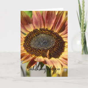 Sunflower Thinking of You Card