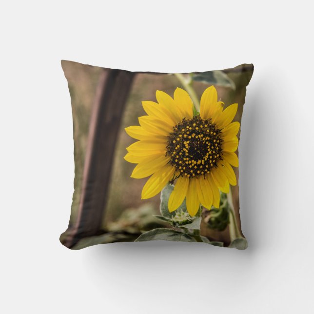 Sunflower Throw Pillow (Front)
