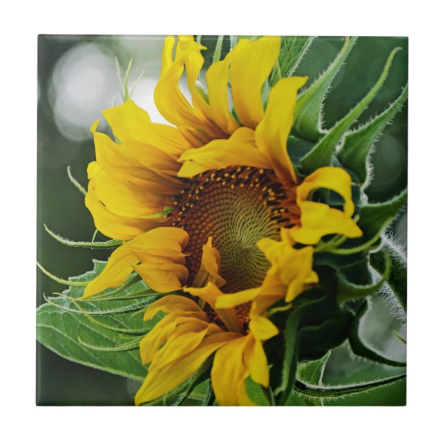 Sunflower Tile (Front)