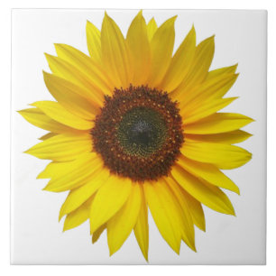 Sunflower Tile