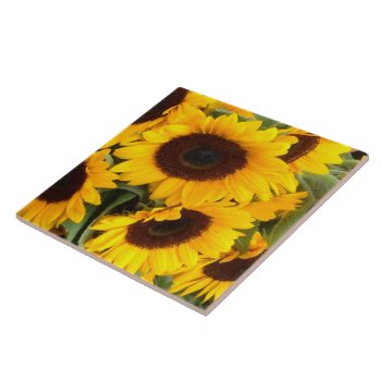 Sunflower Tile by MarblesPictures at Zazzle