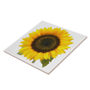 Sunflower Tile (2) sizes