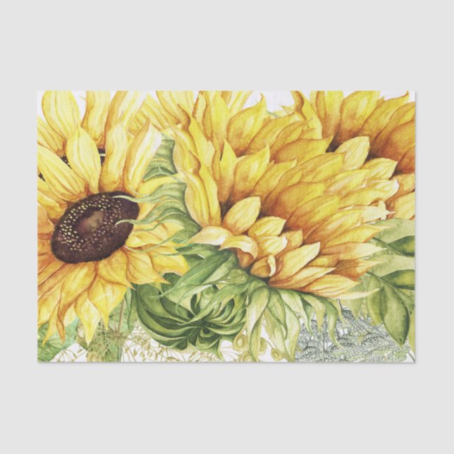 Sunflower Tissue for Gift Wrapping Paper (Front)