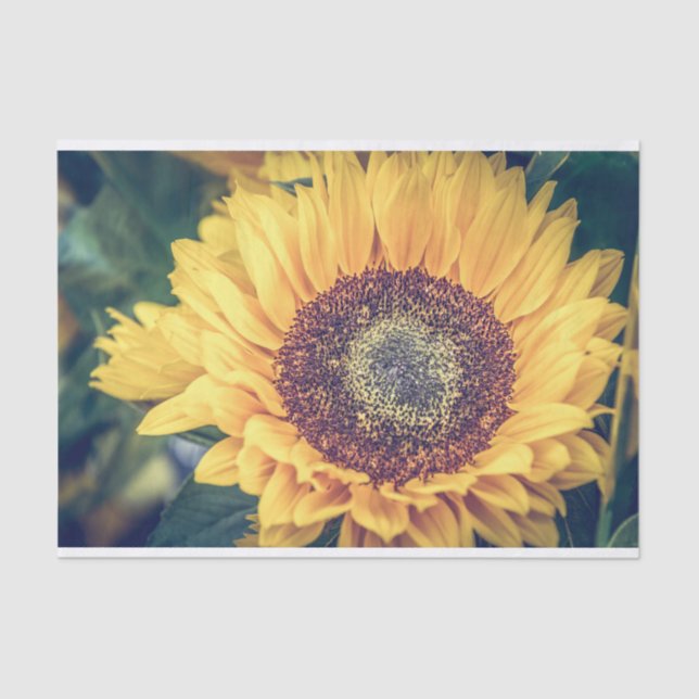 Sunflower Tissue Paper (Front)