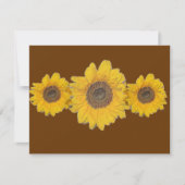 sunflower trio (Front)