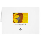 Sunflower Triplettes Cards (Back Horizontal)
