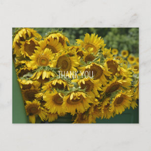 SUNFLOWER TRUCK POSTCARD