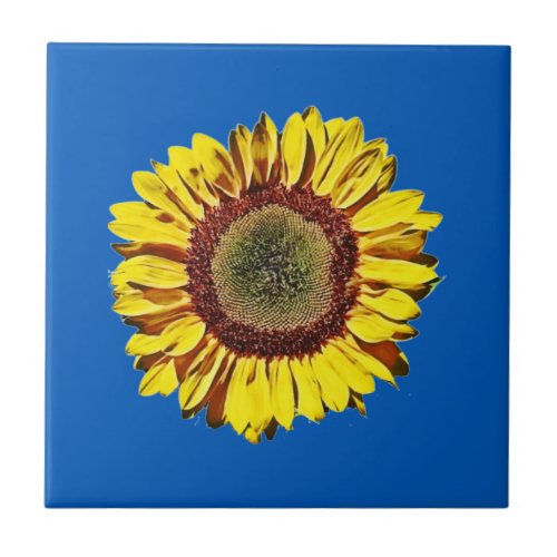 Sunflower Ukraine National Symbol Blue Background Ceramic Tile