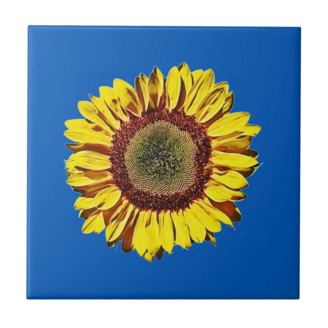 Sunflower Ukraine National Symbol Blue Background Ceramic Tile (Front)