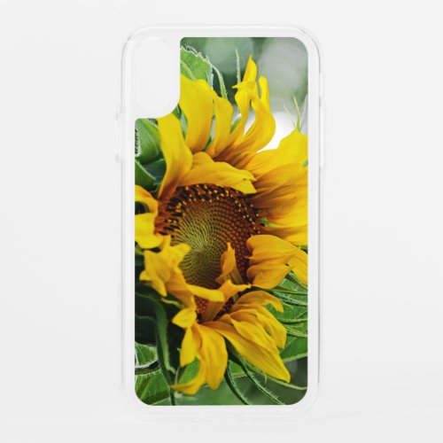 Sunflower iPhone XR Case