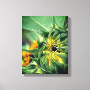 Sunflower Unfolding Floral Canvas Print