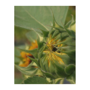 Sunflower Unfolding Floral Wood Wall Art