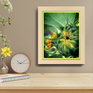 Sunflower Unfolding Framed Art