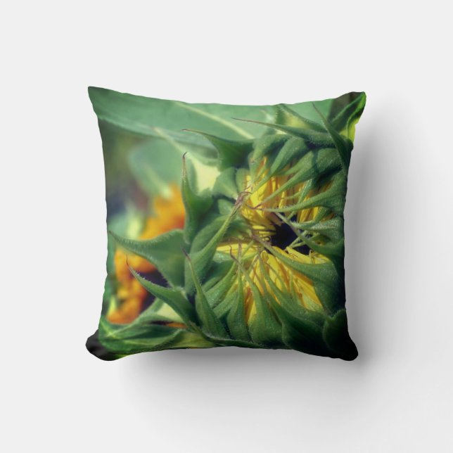 Sunflower Unfolding   Throw Pillow (Front)