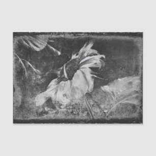 Sunflower Vintage Antique Black And White Texture Tissue Paper