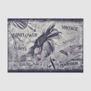 Sunflower Vintage Black And White Ephemera Texture Tissue Paper