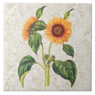 Sunflower Vintage Botanical Ceramic Tile