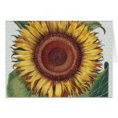 Sunflower Vintage Damask Flower Art (Front Horizontal)