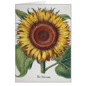 Sunflower Vintage Damask Flower Art (Front)