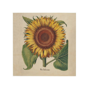 Sunflower Vintage Damask Flower Art