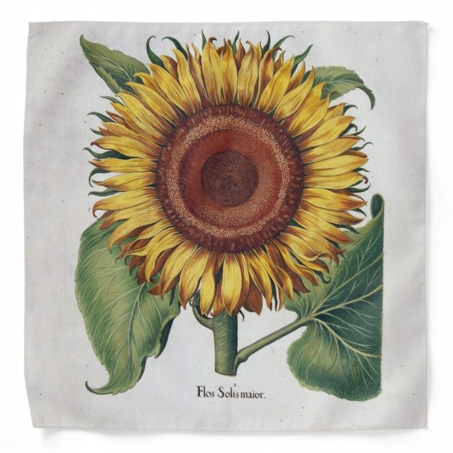 Sunflower Vintage Damask Flower Art Bandana (Front)
