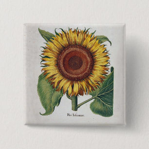 Sunflower Vintage Damask Flower Art Button