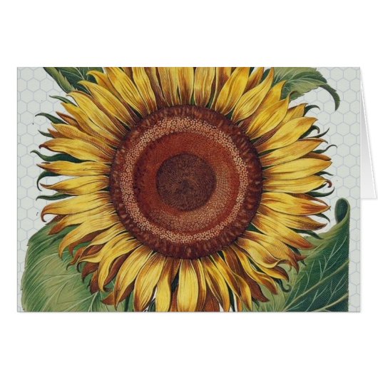 Sunflower Vintage Damask Flower Art Cards (Front Horizontal)