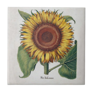 Sunflower Vintage Damask Flower Art Ceramic Tile