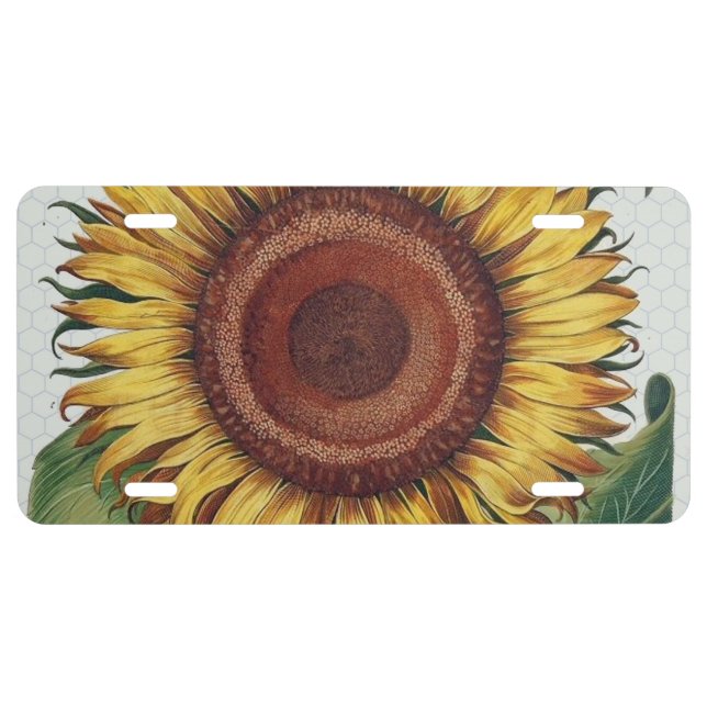 Sunflower Vintage Damask Flower Art License Plate (Front)