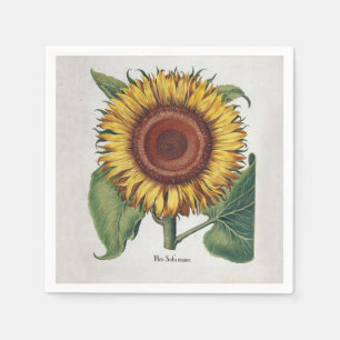Sunflower Vintage Damask Flower Art Napkins