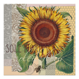 Sunflower Vintage Damask Flower Art Poster