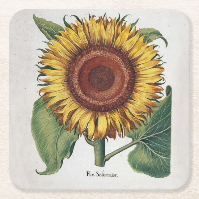 Sunflower Vintage Damask Flower Art Square Paper Coaster (Front)