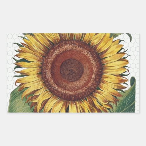 Sunflower Vintage Damask Flower Illustration Art Rectangular Sticker