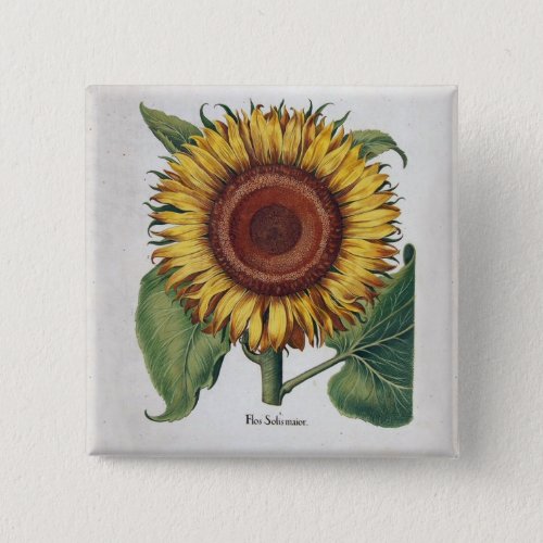 Sunflower Vintage Damask Flower Pattern Art Button