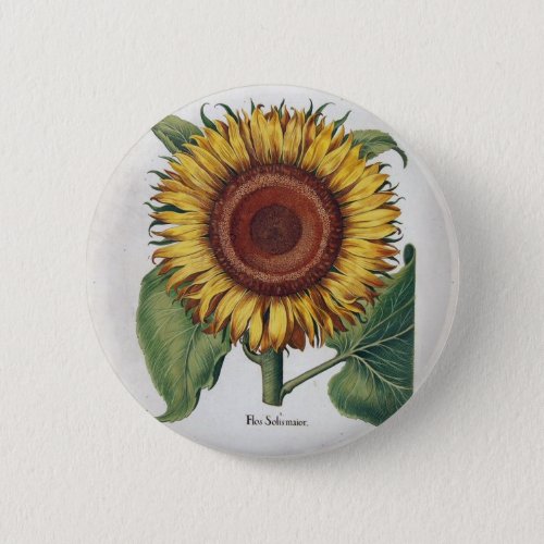 Sunflower Vintage Damask Flower Pattern Art Button