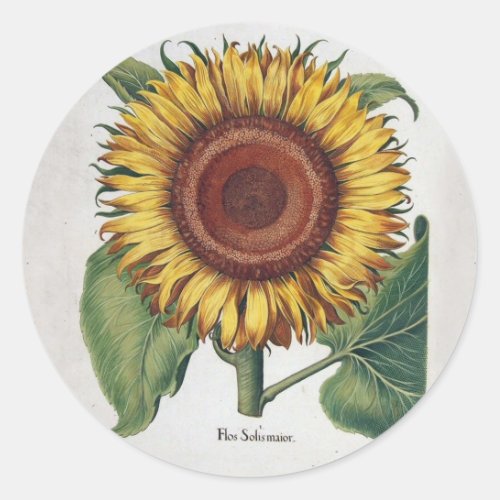 Sunflower Vintage Damask Flower Pattern Art Classic Round Sticker