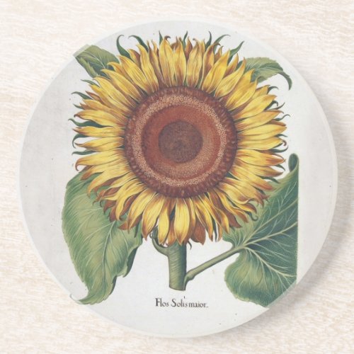 Sunflower Vintage Damask Flower Pattern Art Drink Coaster