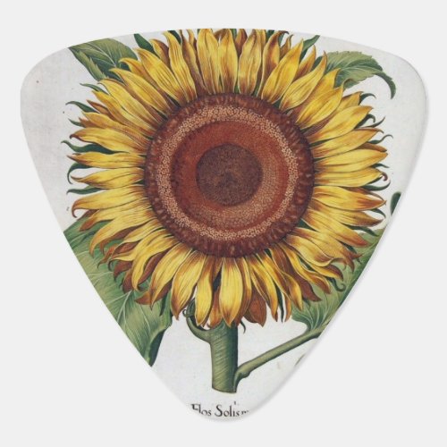 Sunflower Vintage Damask Flower Pattern Art Guitar Pick