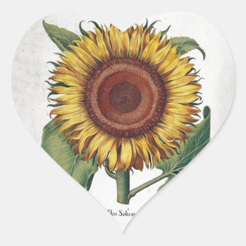 Sunflower Vintage Damask Flower Pattern Art Heart Sticker