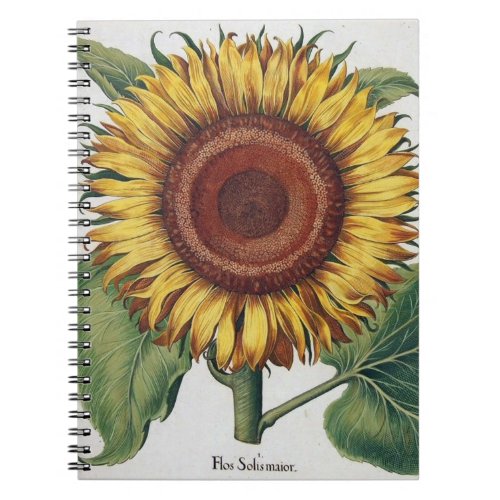 Sunflower Vintage Damask Flower Pattern Art Notebook