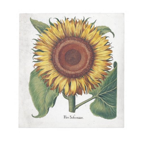 Sunflower Vintage Damask Flower Pattern Art Notepad