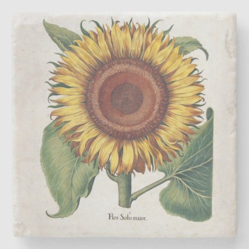 Sunflower Vintage Damask Flower Pattern Art Stone Coaster