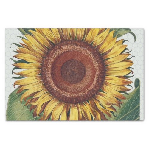 Sunflower Vintage Damask Flower Pattern Art Tissue Paper