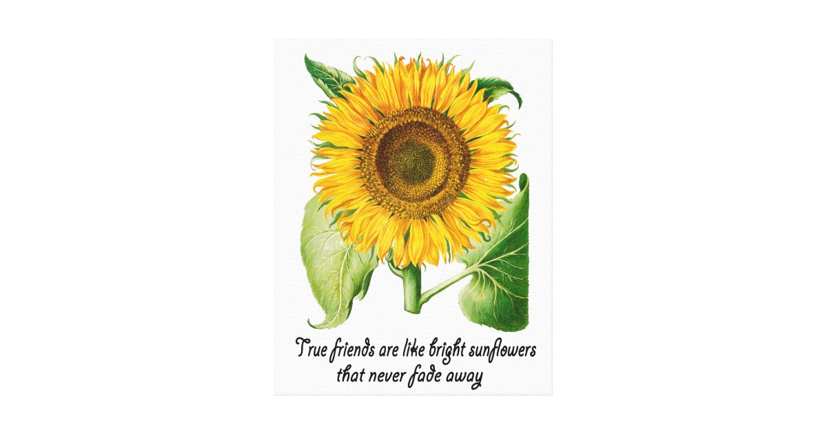 Sunflower Wall Art Canvas Print Home Decor Gift | Zazzle.com